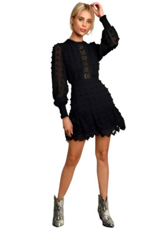 Midnight Romance Embroidered Mini Dress
