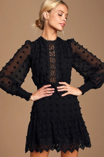 Midnight Romance Embroidered Mini Dress